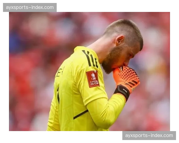 赛场花絮:大雨中,皇马门将卢宁多次关键扑救后与门柱“对话”